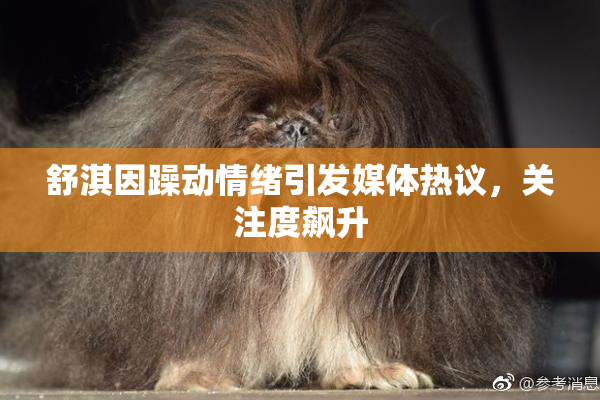 舒淇因躁动情绪引发媒体热议，关注度飙升