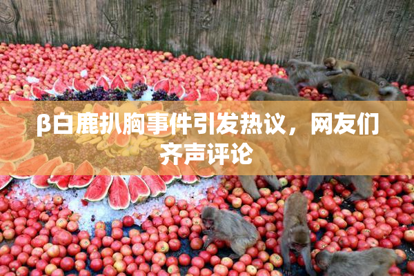 β白鹿扒胸事件引发热议，网友们齐声评论