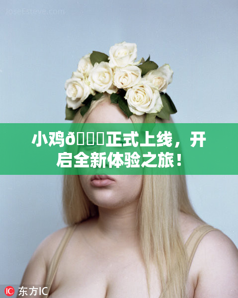 小鸡🐔正式上线，开启全新体验之旅！