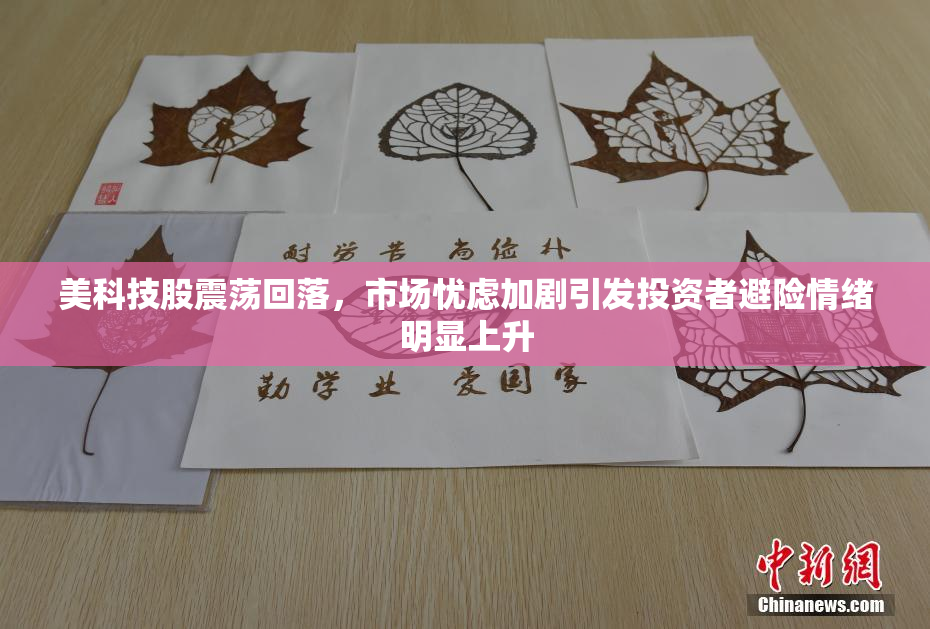 美科技股震荡回落，市场忧虑加剧引发投资者避险情绪明显上升