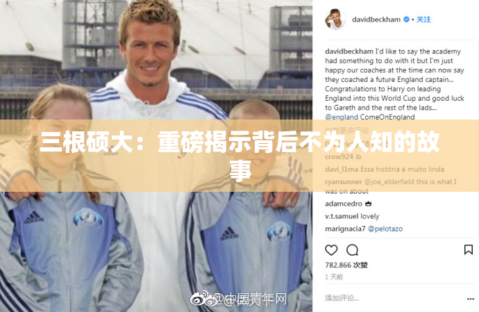 三根硕大：重磅揭示背后不为人知的故事