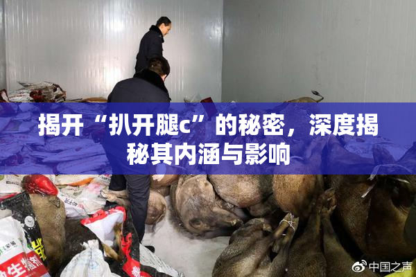 揭开“扒开腿c”的秘密，深度揭秘其内涵与影响