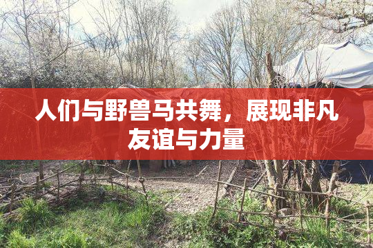 人们与野兽马共舞，展现非凡友谊与力量
