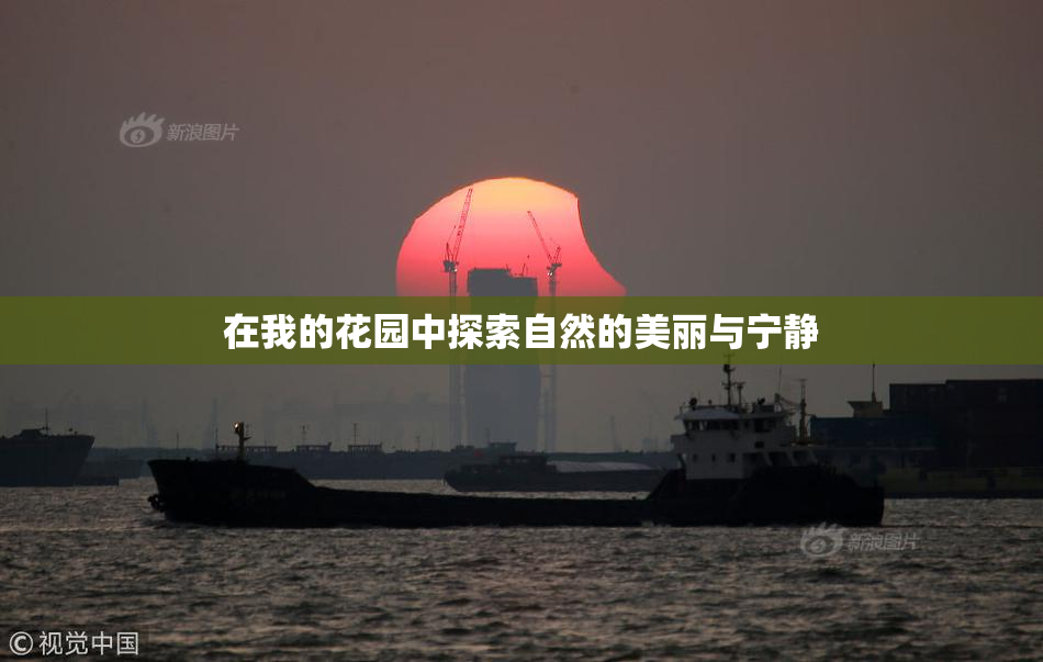 在我的花园中探索自然的美丽与宁静