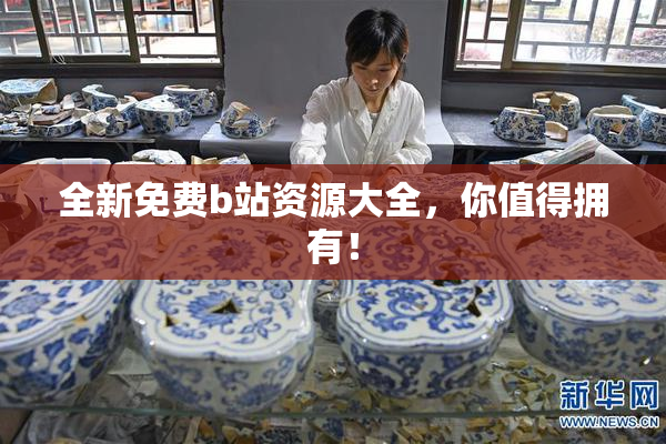 全新免费b站资源大全，你值得拥有！