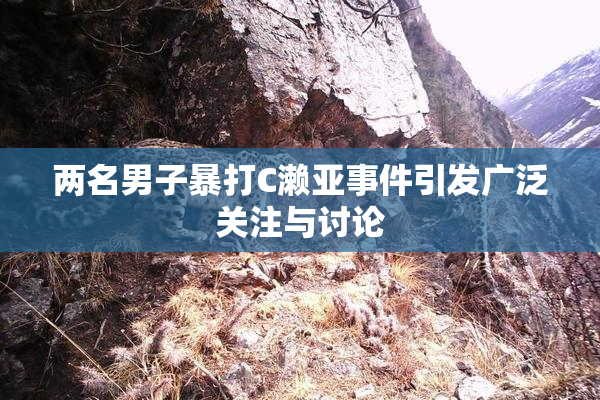 两名男子暴打C濑亚事件引发广泛关注与讨论