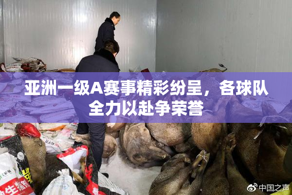 亚洲一级A赛事精彩纷呈，各球队全力以赴争荣誉
