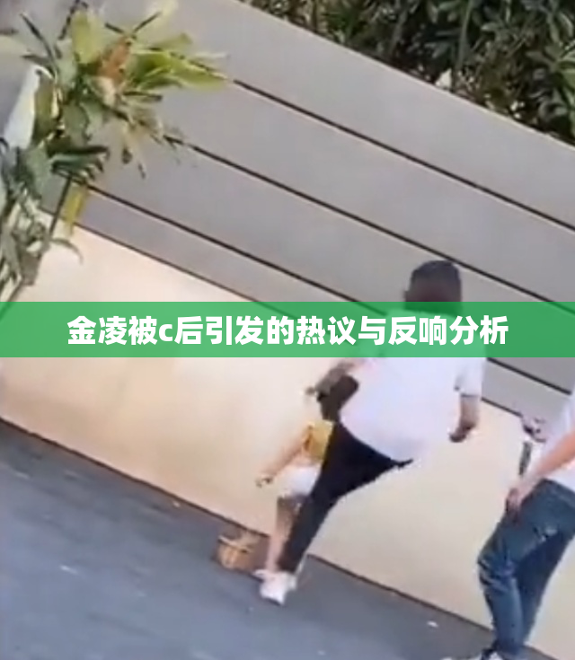 金凌被c后引发的热议与反响分析