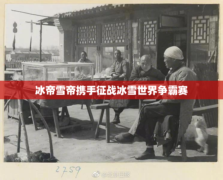 冰帝雪帝携手征战冰雪世界争霸赛