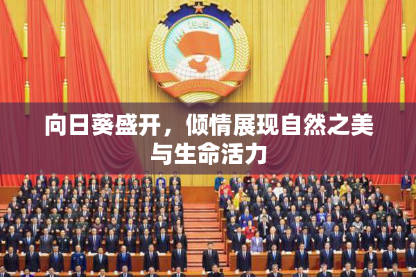 向日葵盛开，倾情展现自然之美与生命活力