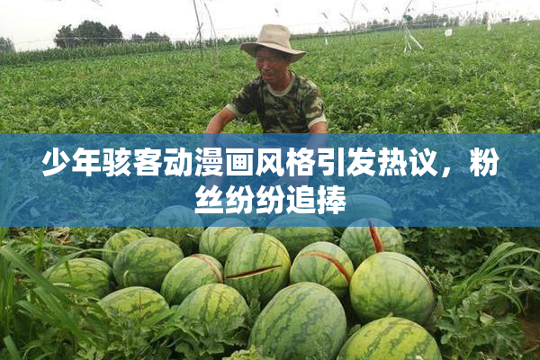 少年骇客动漫画风格引发热议，粉丝纷纷追捧