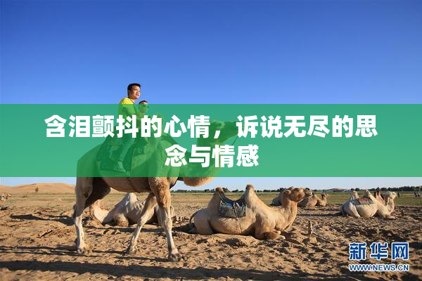 含泪颤抖的心情，诉说无尽的思念与情感