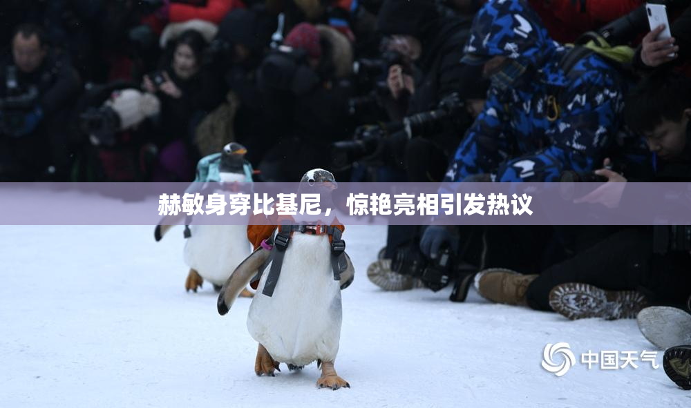 赫敏身穿比基尼，惊艳亮相引发热议
