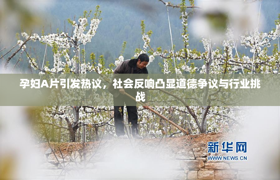 孕妇A片引发热议，社会反响凸显道德争议与行业挑战