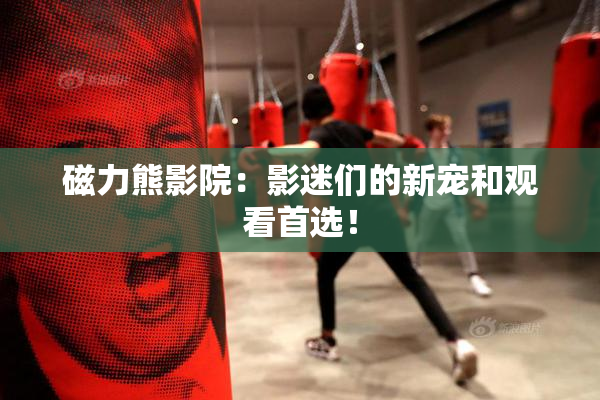 磁力熊影院：影迷们的新宠和观看首选！
