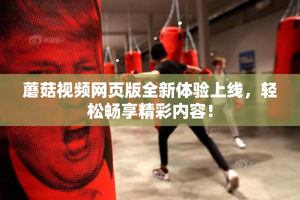 蘑菇视频网页版全新体验上线，轻松畅享精彩内容！
