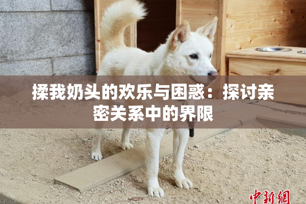 揉我奶头的欢乐与困惑：探讨亲密关系中的界限