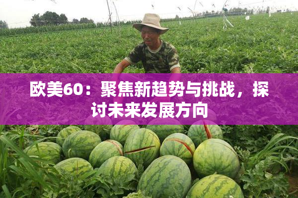 欧美60：聚焦新趋势与挑战，探讨未来发展方向