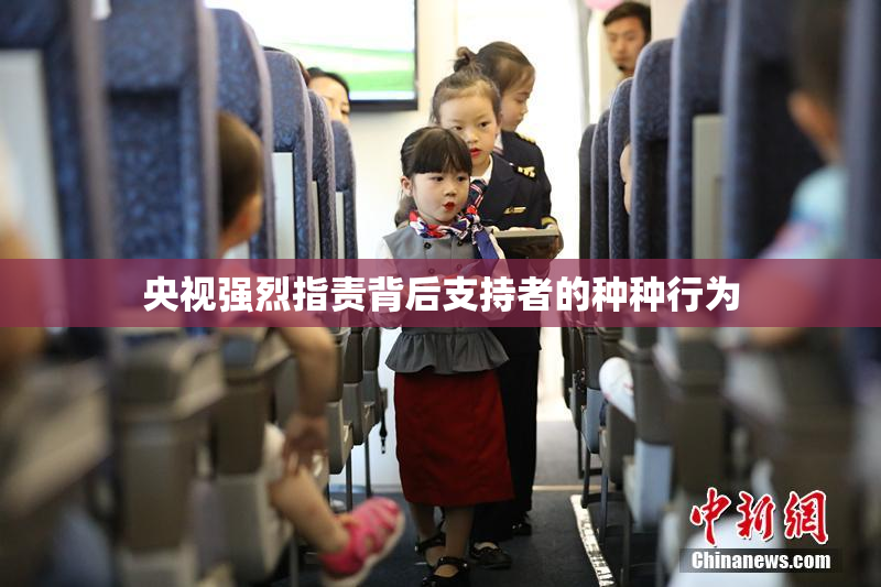 央视强烈指责背后支持者的种种行为