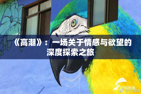 《高潮》：一场关于情感与欲望的深度探索之旅