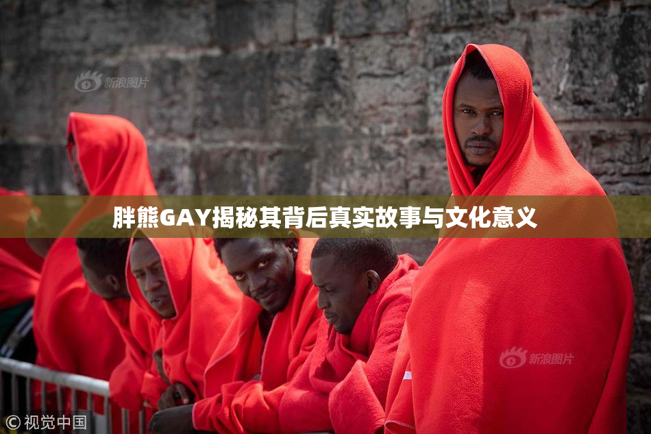 胖熊GAY揭秘其背后真实故事与文化意义