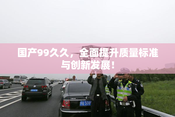 国产99久久，全面提升质量标准与创新发展！