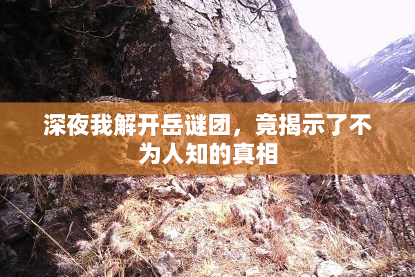 深夜我解开岳谜团，竟揭示了不为人知的真相