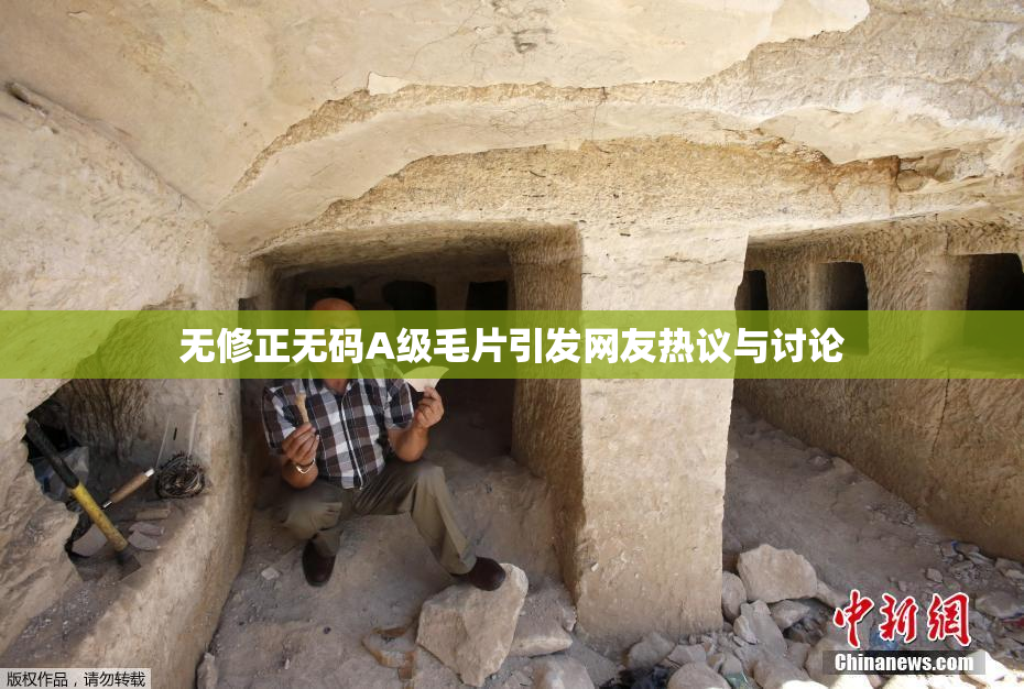 无修正无码A级毛片引发网友热议与讨论