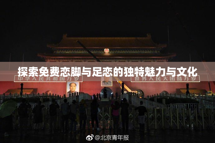 探索免费恋脚与足恋的独特魅力与文化