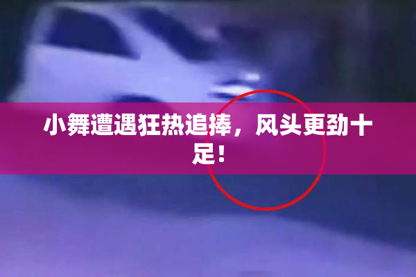 小舞遭遇狂热追捧，风头更劲十足！