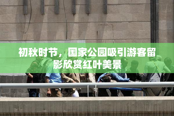 初秋时节，国家公园吸引游客留影欣赏红叶美景