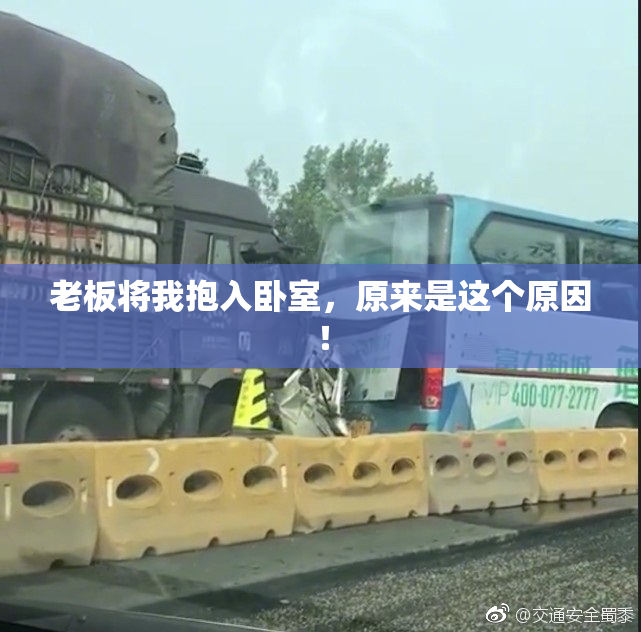 老板将我抱入卧室，原来是这个原因！