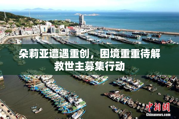 朵莉亚遭遇重创，困境重重待解救世主募集行动
