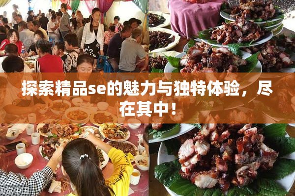 探索精品se的魅力与独特体验，尽在其中！