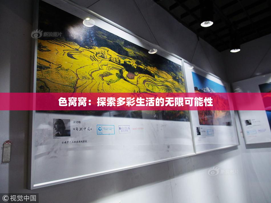 色窝窝：探索多彩生活的无限可能性