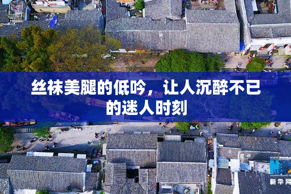 丝袜美腿的低吟，让人沉醉不已的迷人时刻