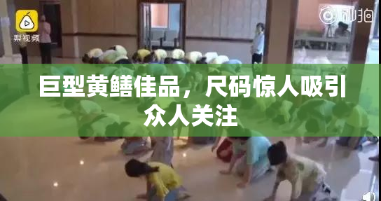 巨型黄鳝佳品，尺码惊人吸引众人关注