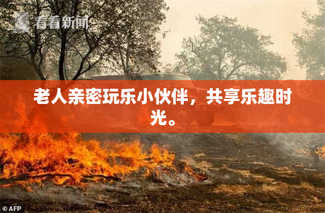 老人亲密玩乐小伙伴，共享乐趣时光。