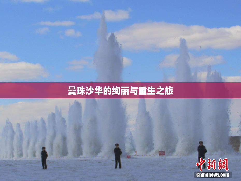 曼珠沙华的绚丽与重生之旅