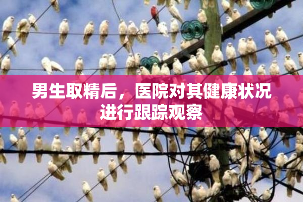 男生取精后，医院对其健康状况进行跟踪观察