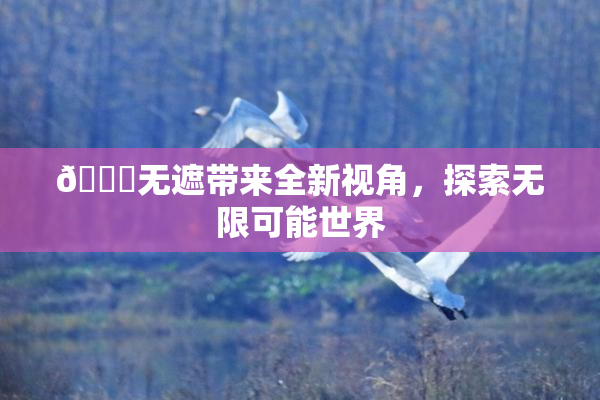 🔞无遮带来全新视角，探索无限可能世界