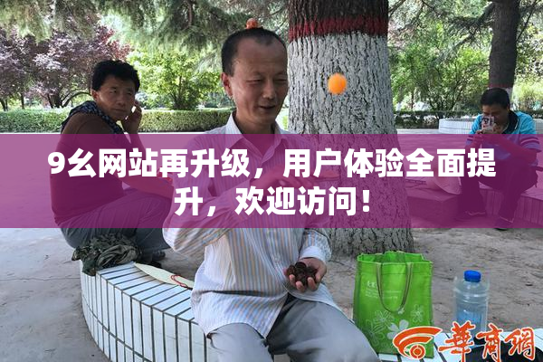 9幺网站再升级，用户体验全面提升，欢迎访问！