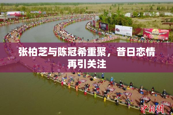 张柏芝与陈冠希重聚，昔日恋情再引关注