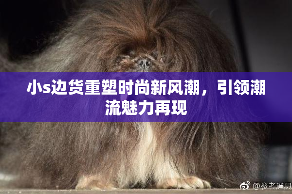 小s边货重塑时尚新风潮，引领潮流魅力再现