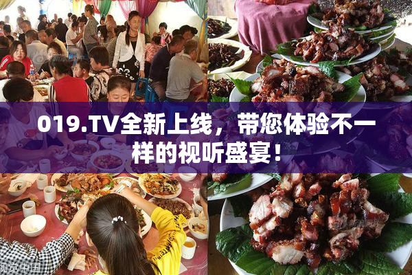 019.TV全新上线，带您体验不一样的视听盛宴！