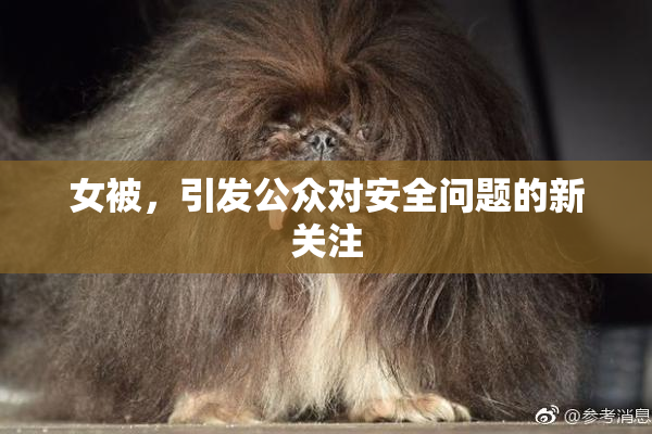女被，引发公众对安全问题的新关注