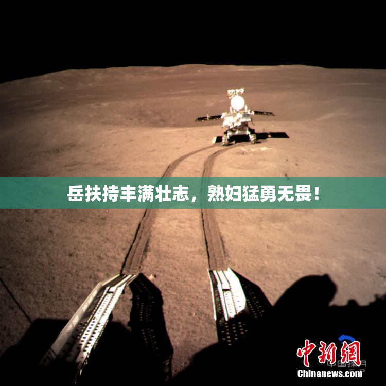 岳扶持丰满壮志，熟妇猛勇无畏！