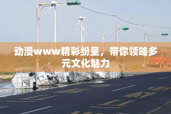 动漫www精彩纷呈，带你领略多元文化魅力