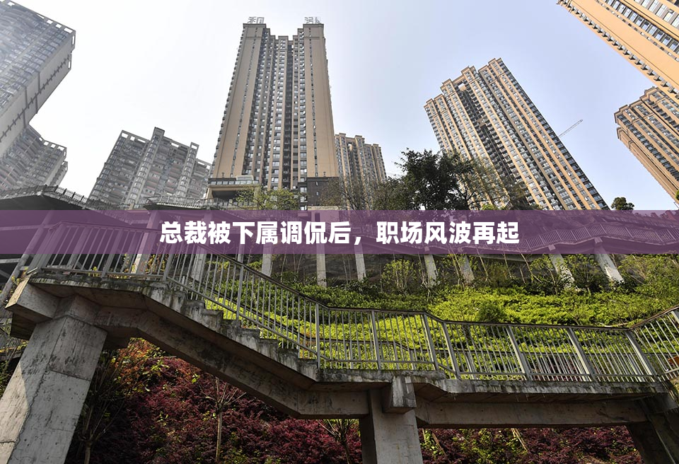 总裁被下属调侃后，职场风波再起