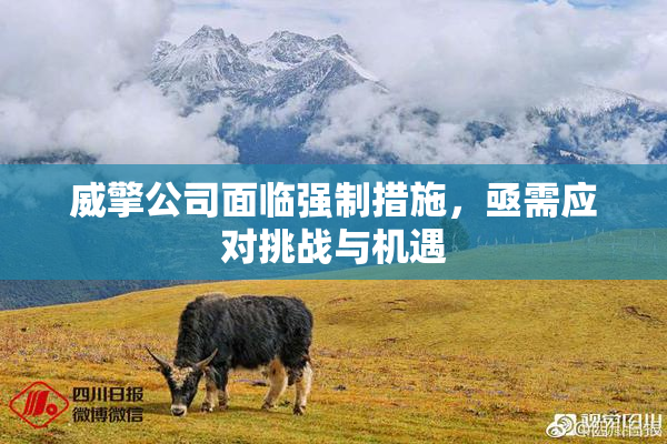 威擎公司面临强制措施，亟需应对挑战与机遇